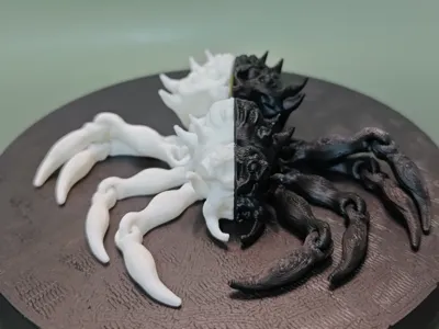 Black and White Spider Destiny Gu