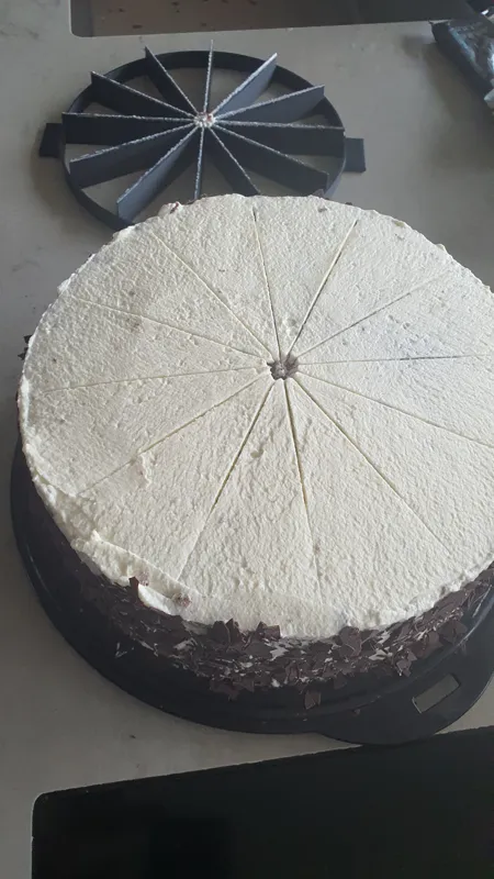 cake slicer - Kuchenteiler