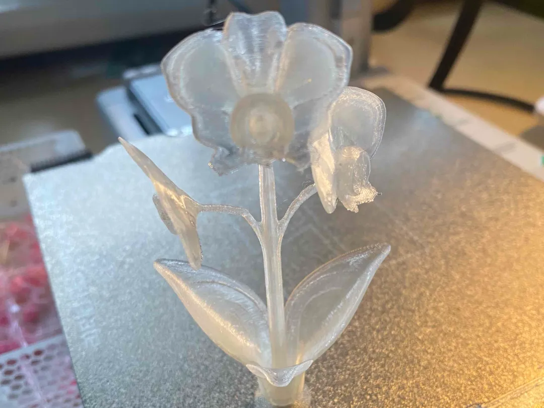 Orchidée