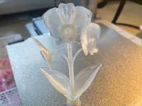 Orchidée — photo 1