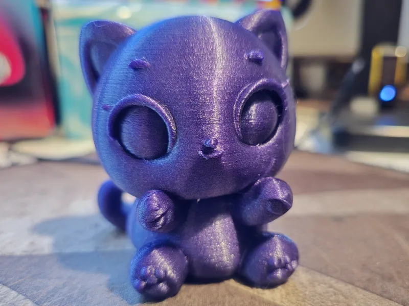 Cute Cat