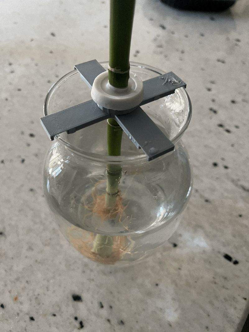 IKEA Dracaena Plant Clip
