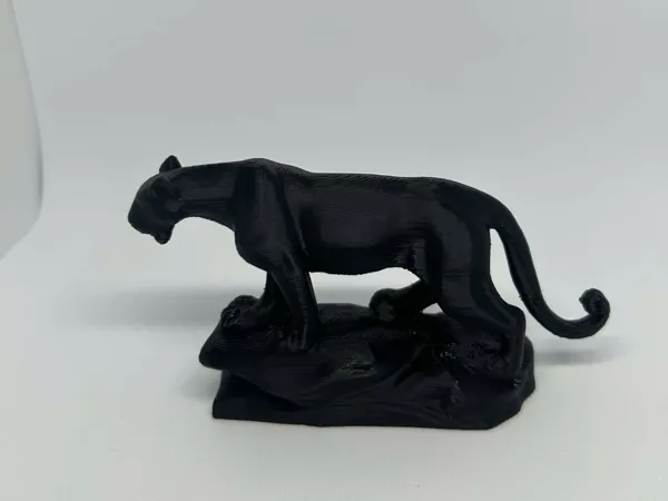 https://makerworld.bblmw.com/makerworld/model/DSM00000001208820/design/2025-03-14_48a13e51e649f.jpg