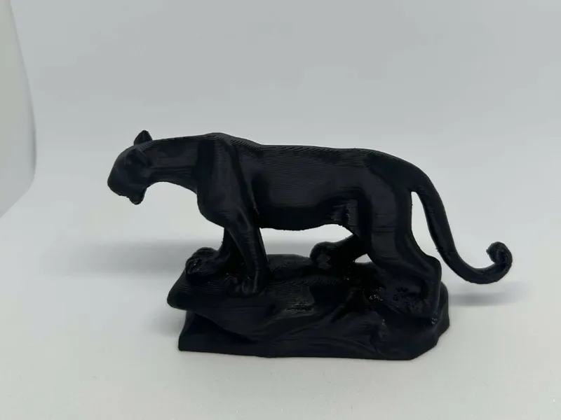 Panthère Noir Décor