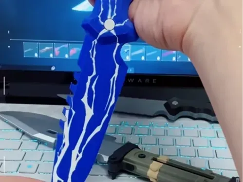 https://makerworld.bblmw.com/makerworld/model/DSM00000001209459/design/487a2ce4-a27f-4d0a-9bfe-fd8b02437a72.webp