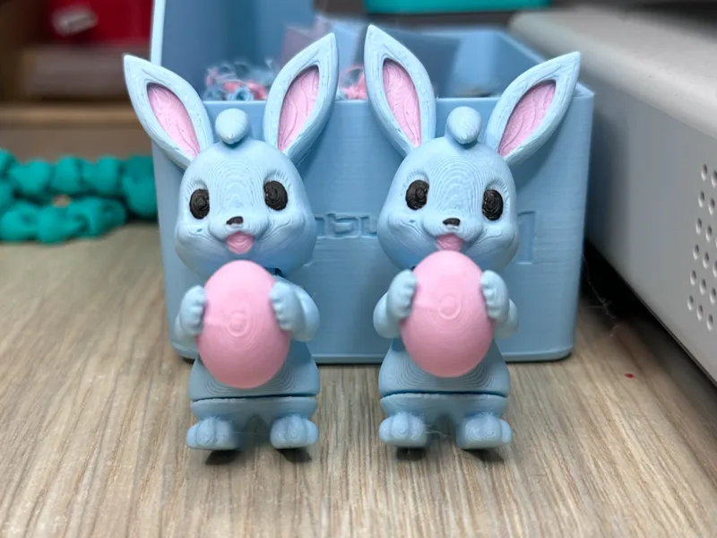 Easter Bunny Flexi 