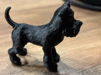 Miniatur mittel Schnauzer