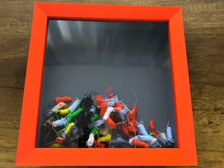 Bambu Poop Frame