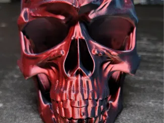 skull