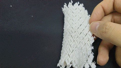 https://makerworld.bblmw.com/makerworld/model/DSM00000001212296/design/56ba1012-5381-4300-9398-99f46b099e96.gif