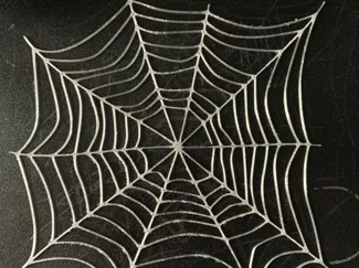 TPU Spider web