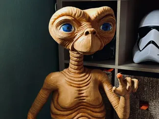 E.T xl 80 centimètres 