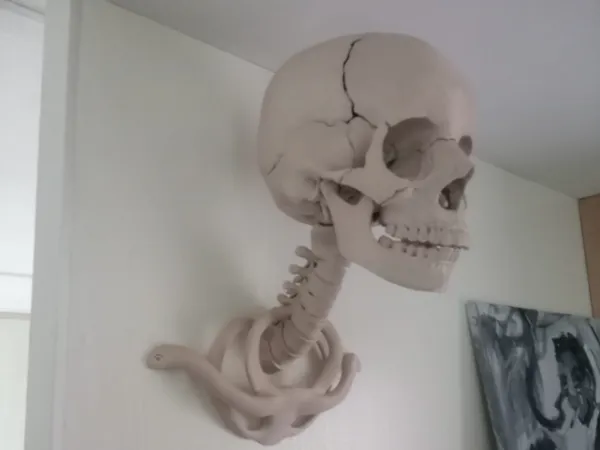 https://makerworld.bblmw.com/makerworld/model/DSM00000001216409/design/2025-03-16_b3b22b6f7958f.jpeg