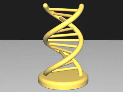 DNA Helix Model