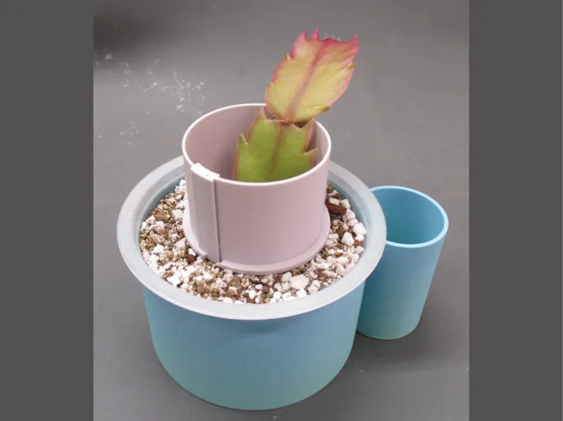 Plant Support Ring