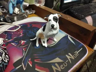 Perro sentado / sitting dog