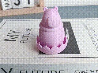 https://makerworld.bblmw.com/makerworld/model/DSM00000001218985/design/61e976b4-68dd-4251-82d2-aeda37f9b8a5.gif