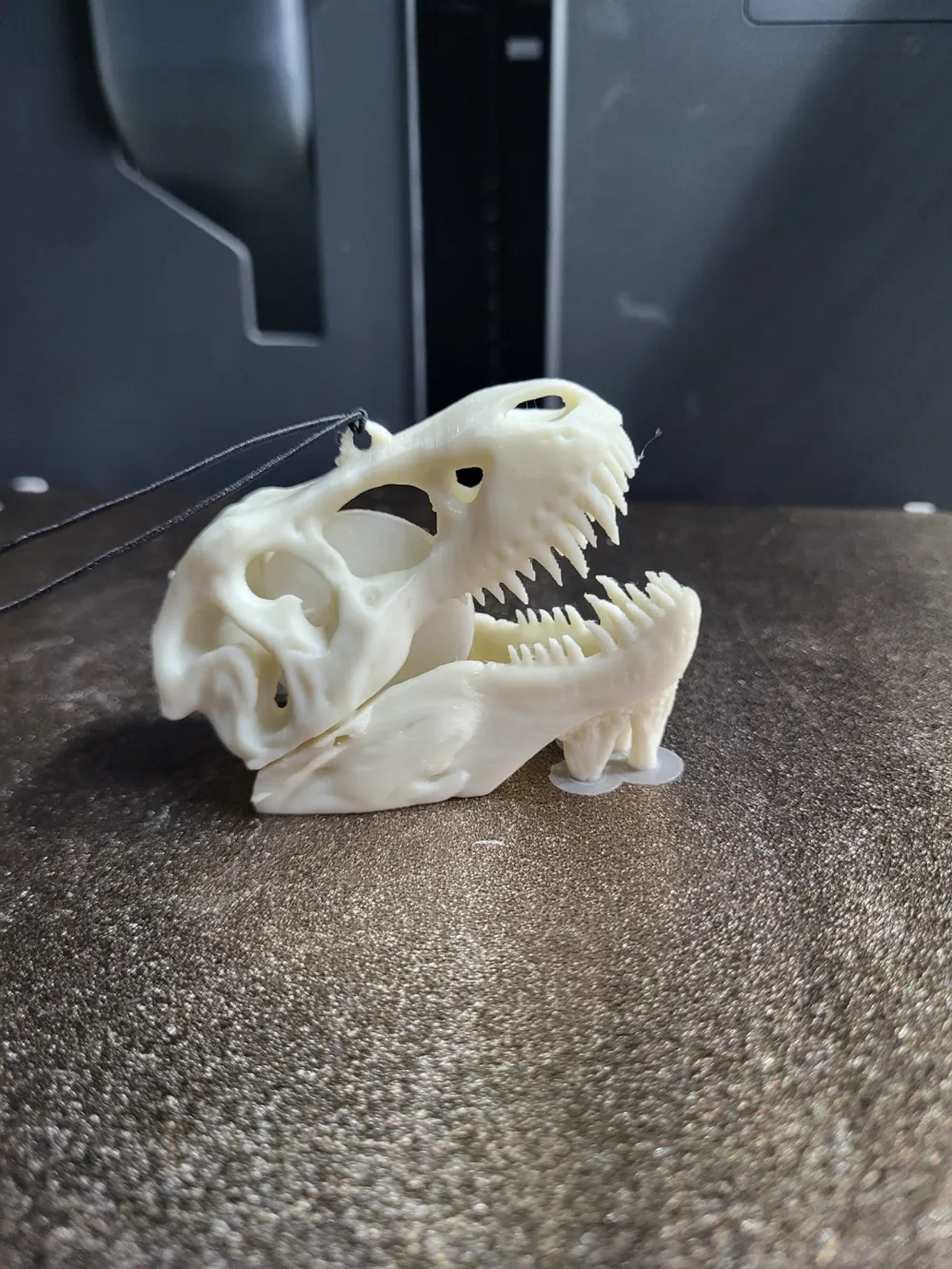 t-rex skull car air freshener Remixed by tomo3D - MakerWorld