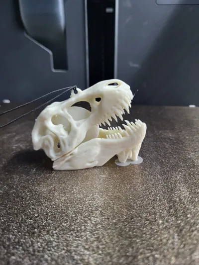 t-rex skull car air freshener Remixed by tomo3D - MakerWorld