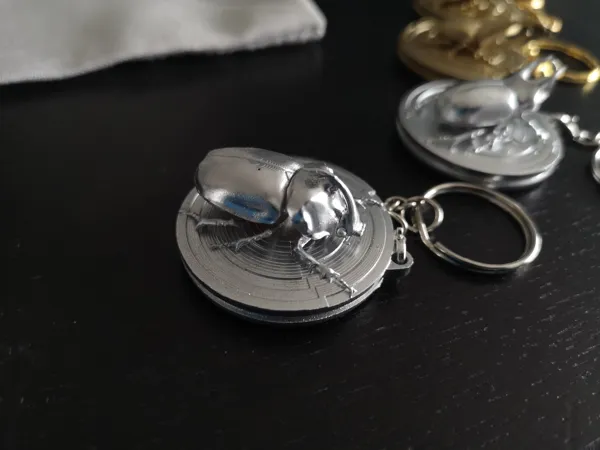 https://makerworld.bblmw.com/makerworld/model/DSM00000001219451/design/2025-03-17_60e10454eac208.jpg