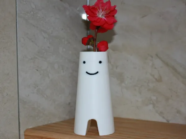 https://makerworld.bblmw.com/makerworld/model/DSM00000001219594/design/7a9ab7e6-053f-4a02-835f-739ef4906971.webp