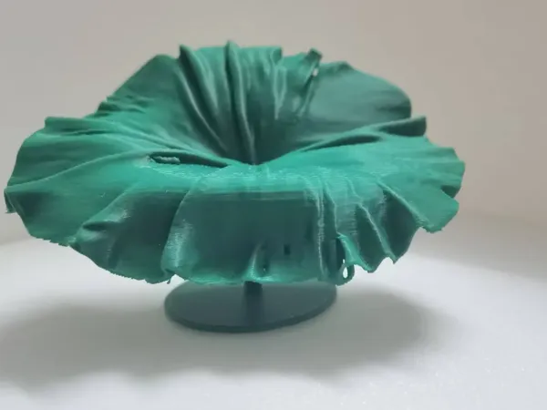 https://makerworld.bblmw.com/makerworld/model/DSM00000001219637/design/270ecdf8-e611-451c-9f27-0bd559b93662.webp