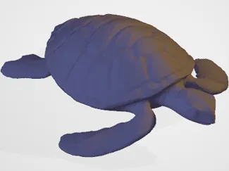 Tortuga 1