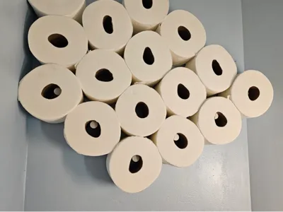 Toilet Paper Holder (Hidden)