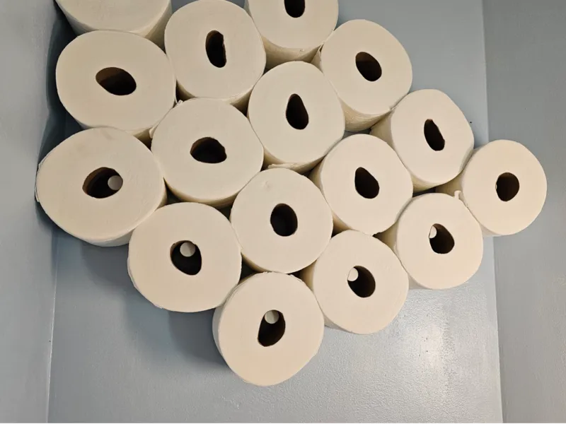Toilet Paper Holder (Hidden)