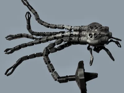 Sentinel Squid Machine
