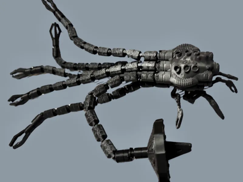 Sentinel Squid Machine