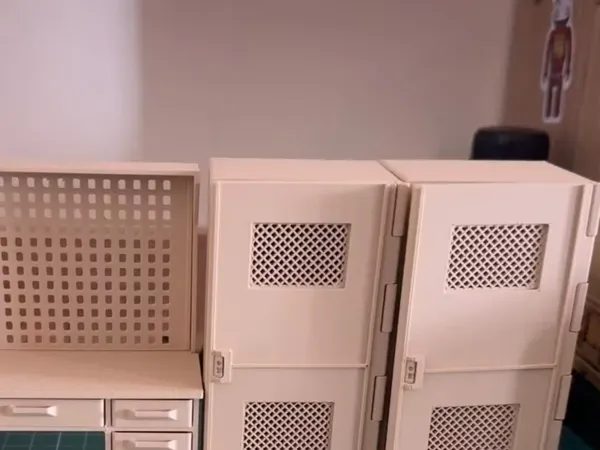 https://makerworld.bblmw.com/makerworld/model/DSM00000001222806/design/92ba4ff3-4088-484e-bc3a-a890d0c7124b.webp