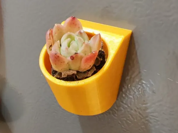 https://makerworld.bblmw.com/makerworld/model/DSM00000001223419/design/e5034c44-c4d1-4cb4-82e6-6cee7128934f.webp