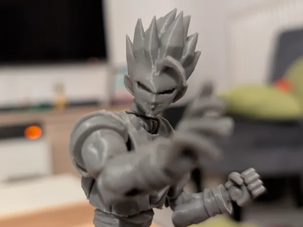 https://makerworld.bblmw.com/makerworld/model/DSM00000001224850/design/2025-03-18_d4fe1c413ed9f.jpg