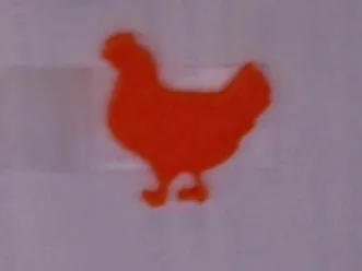 Window chicken