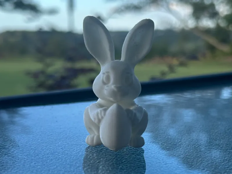 bunny holding an egg