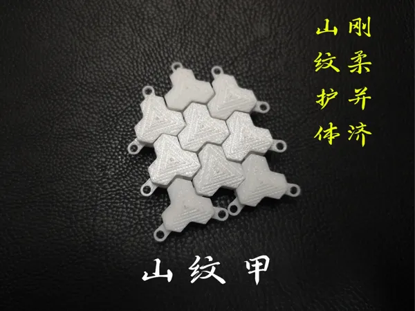 https://makerworld.bblmw.com/makerworld/model/DSM00000001226648/design/bbd5f85c-7d6a-406a-97f6-483301b106fa.webp