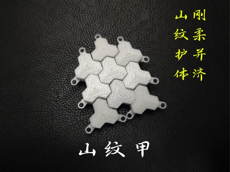 山纹鳞甲甲片