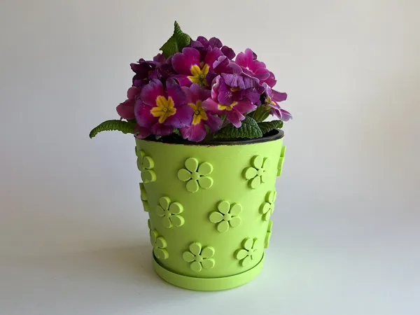 https://makerworld.bblmw.com/makerworld/model/DSM00000001227715/design/2025-03-19_0b598d85ef2bf.jpg