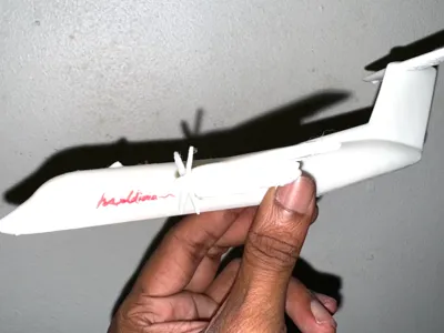 Maldivian dash 8 flight