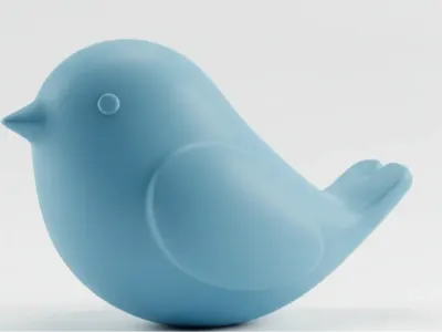 Cute Bird