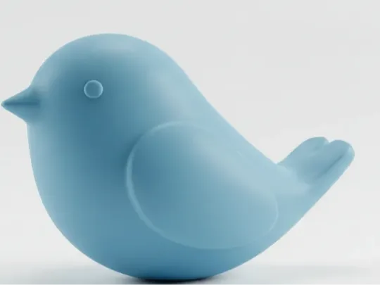 Cute Bird