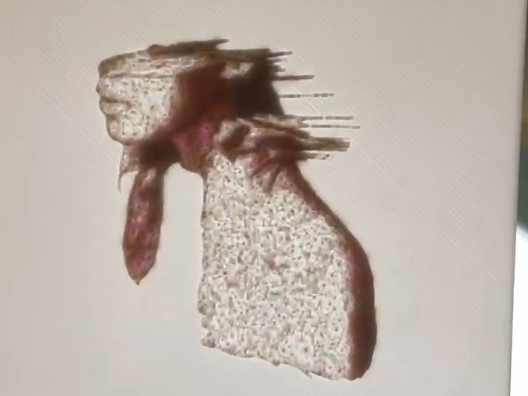 Coldplay脑溢血专辑封面透光浮雕照片 A Rush Of Blood To The Head