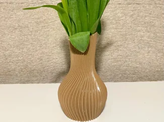 Spiral Lines Vase