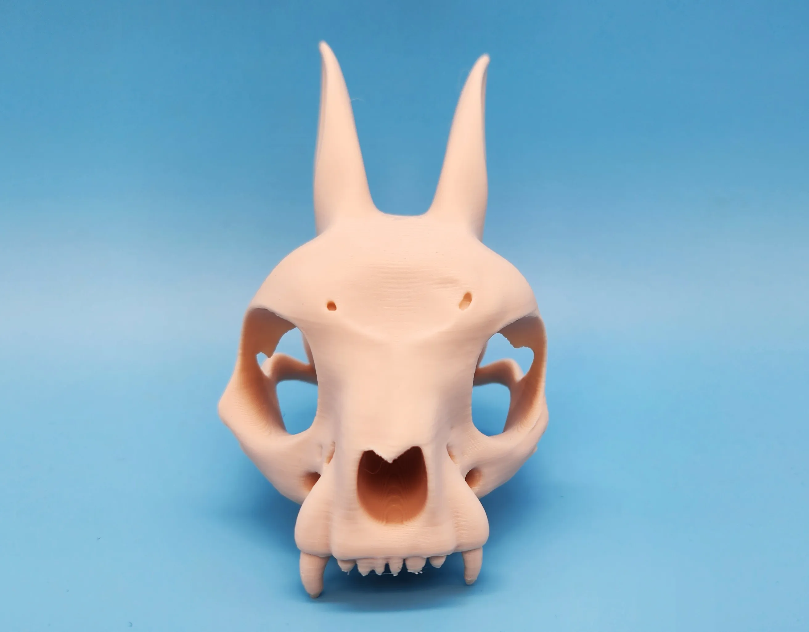 Stuffed Rabbit Skull Bunny Skull - Ears Back by Triple G Workshop - MakerWorld