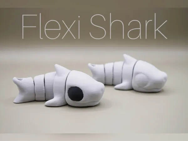 https://makerworld.bblmw.com/makerworld/model/DSM00000001233730/design/2025-03-21_b0e819f4c40978.jpeg