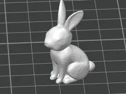 rabit