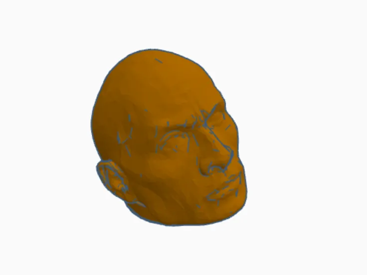The rock
