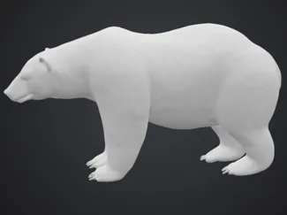 Ours polaire