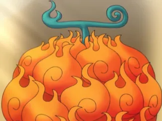 frutto di ace one piece